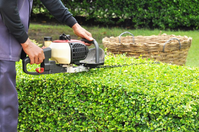Shrub Trimming Service