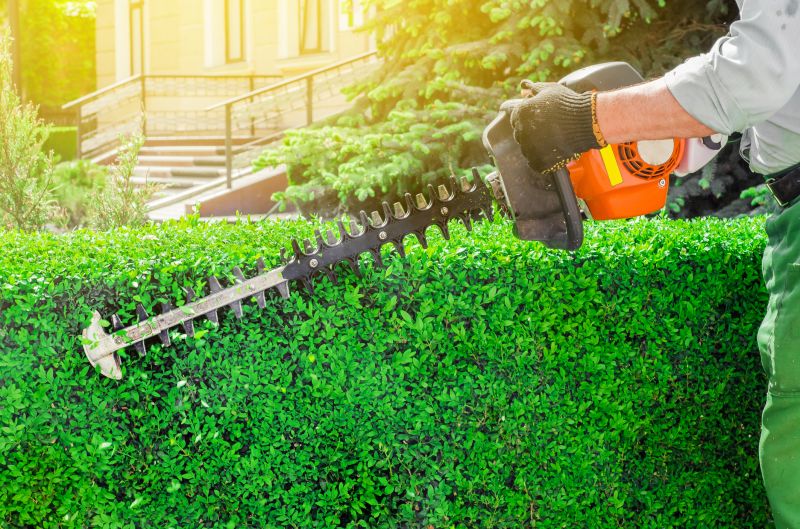 Hedge Trimming Tips and Techniques
