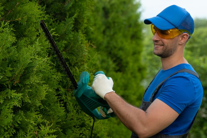 Hedge Trimming