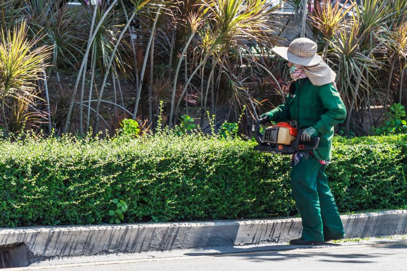 Autumn Hedge Preparation