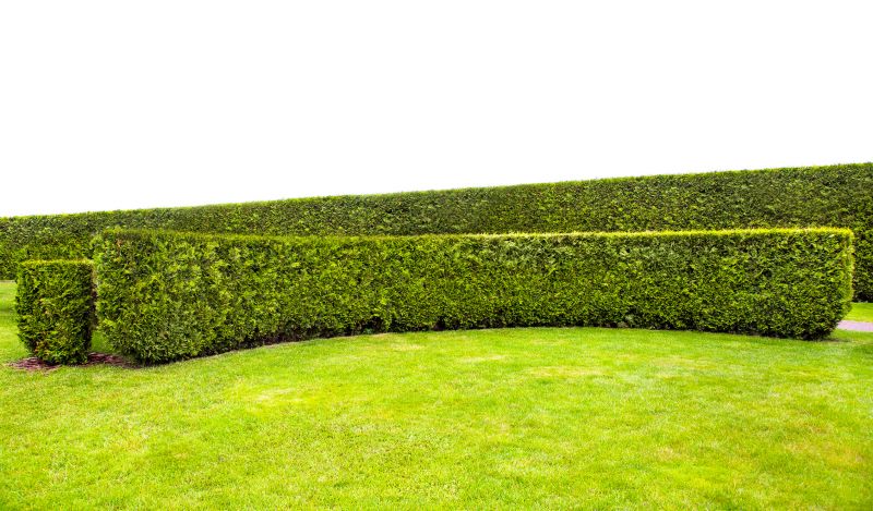 Healthy Hedge Growth
