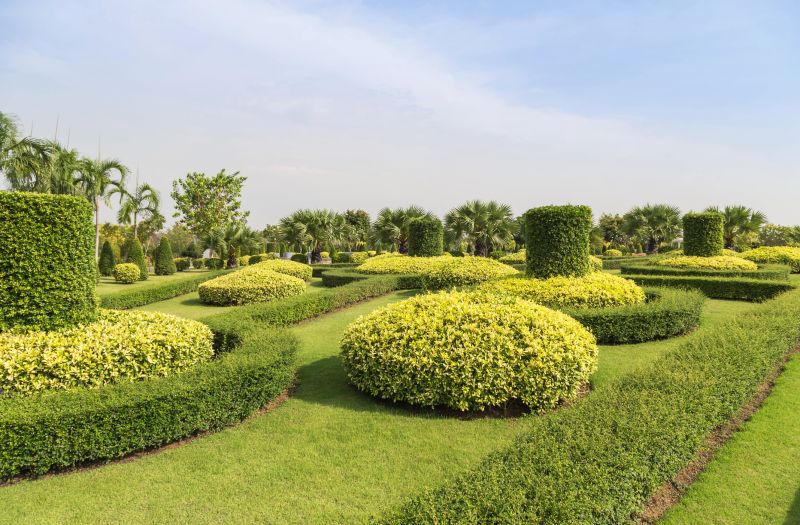 Shrubs with Symmetrical Shape