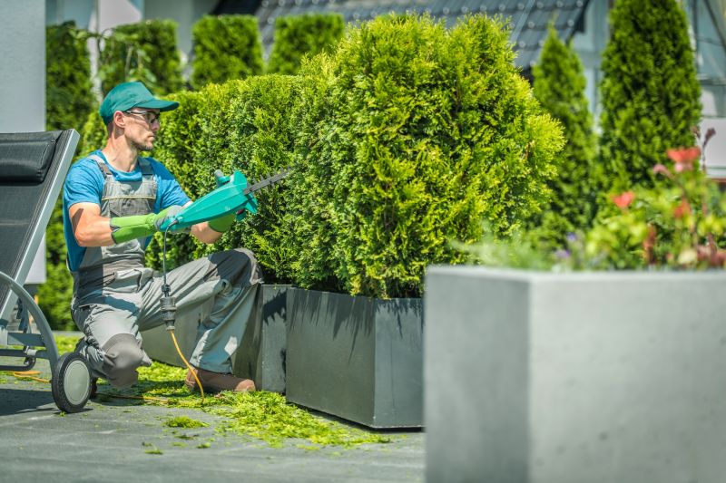 Landscaper Pruning a Bush