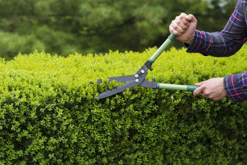 Spring Hedge Trimming