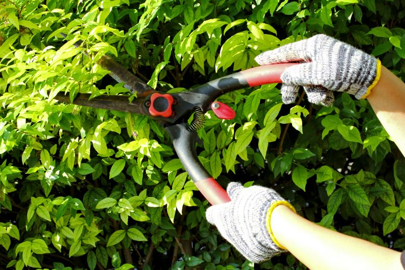 Mid-Season Pruning