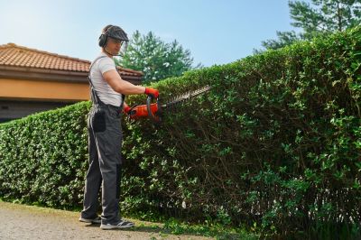 Important For Both Residential and Commercial Properties!